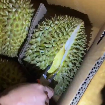 泰国产品，产地直销，#山竹