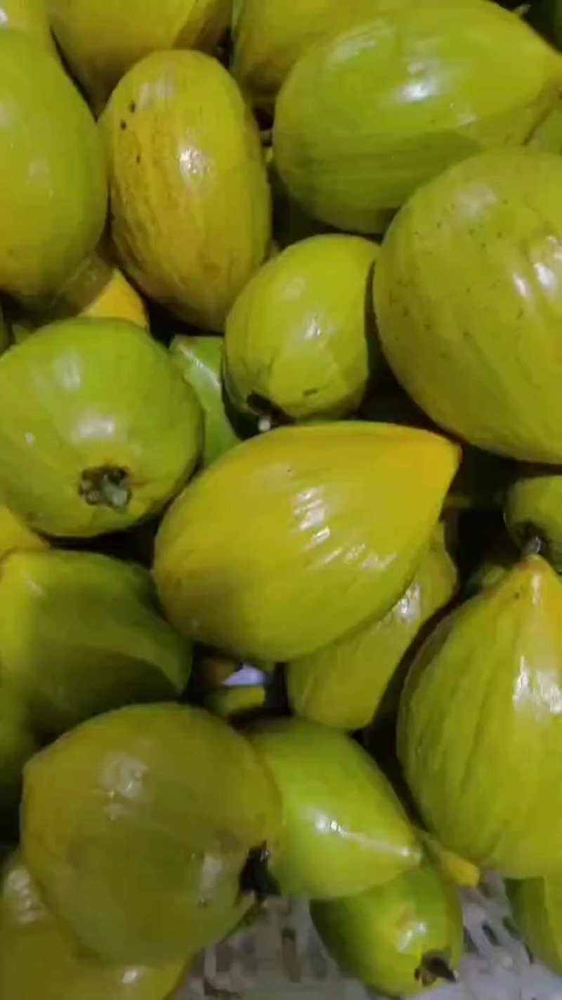 蛋黄果