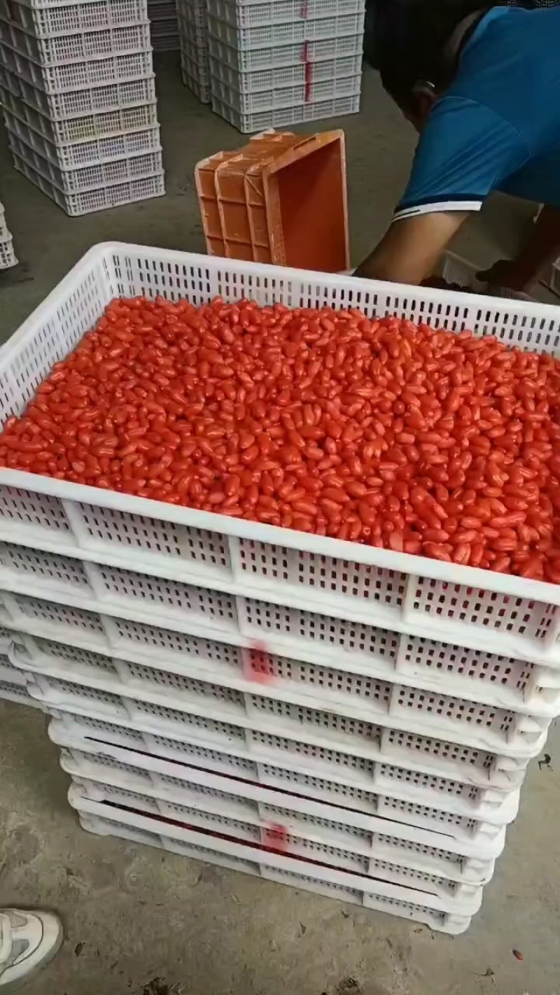 需要锁鲜鲜果的老板联系