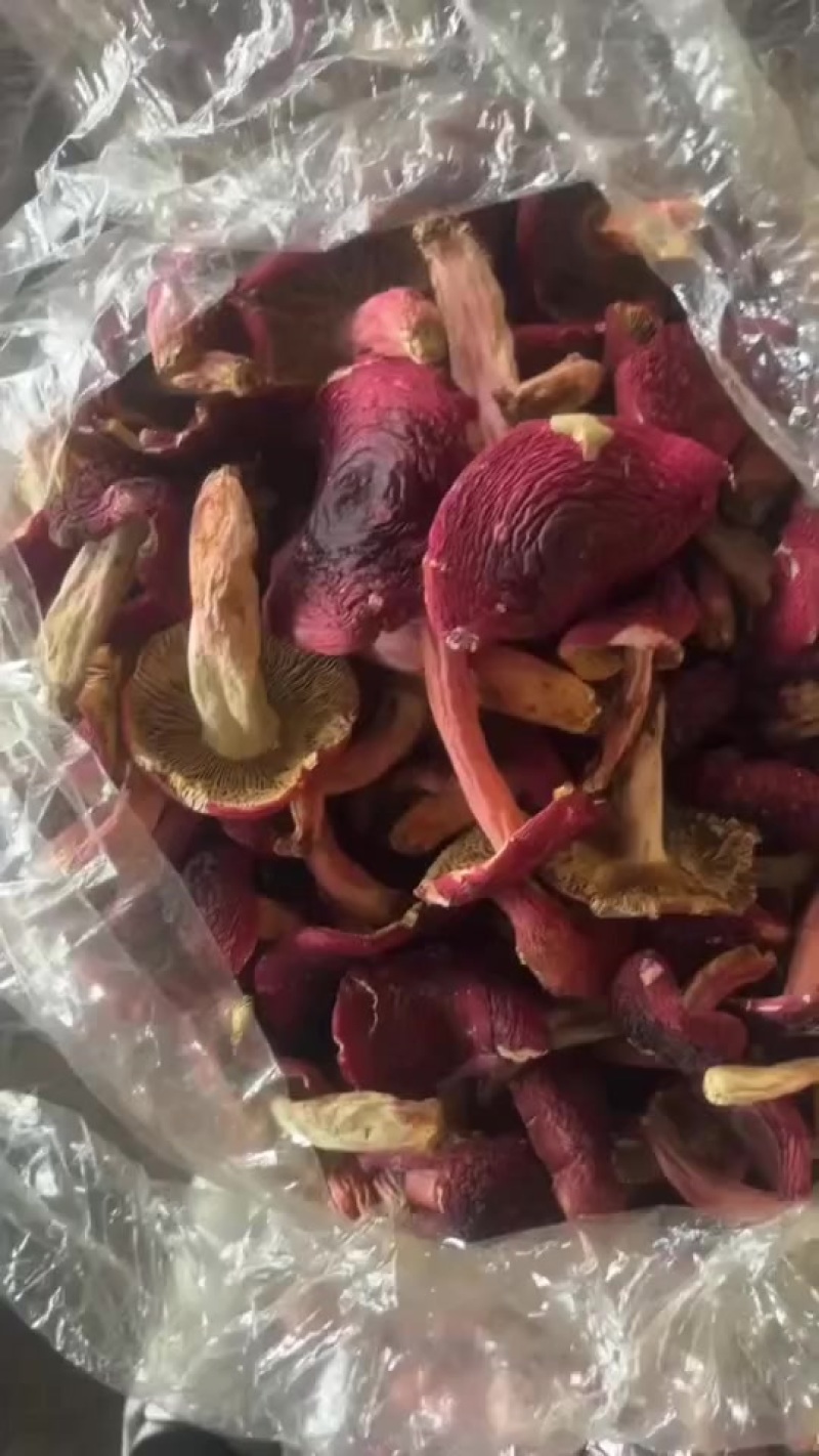 好货红菇