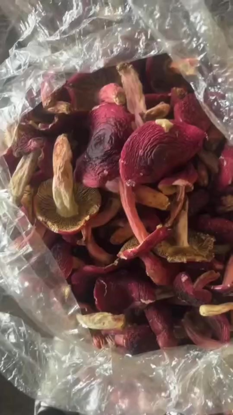 好货红菇
