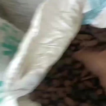 干草果云南红河通货