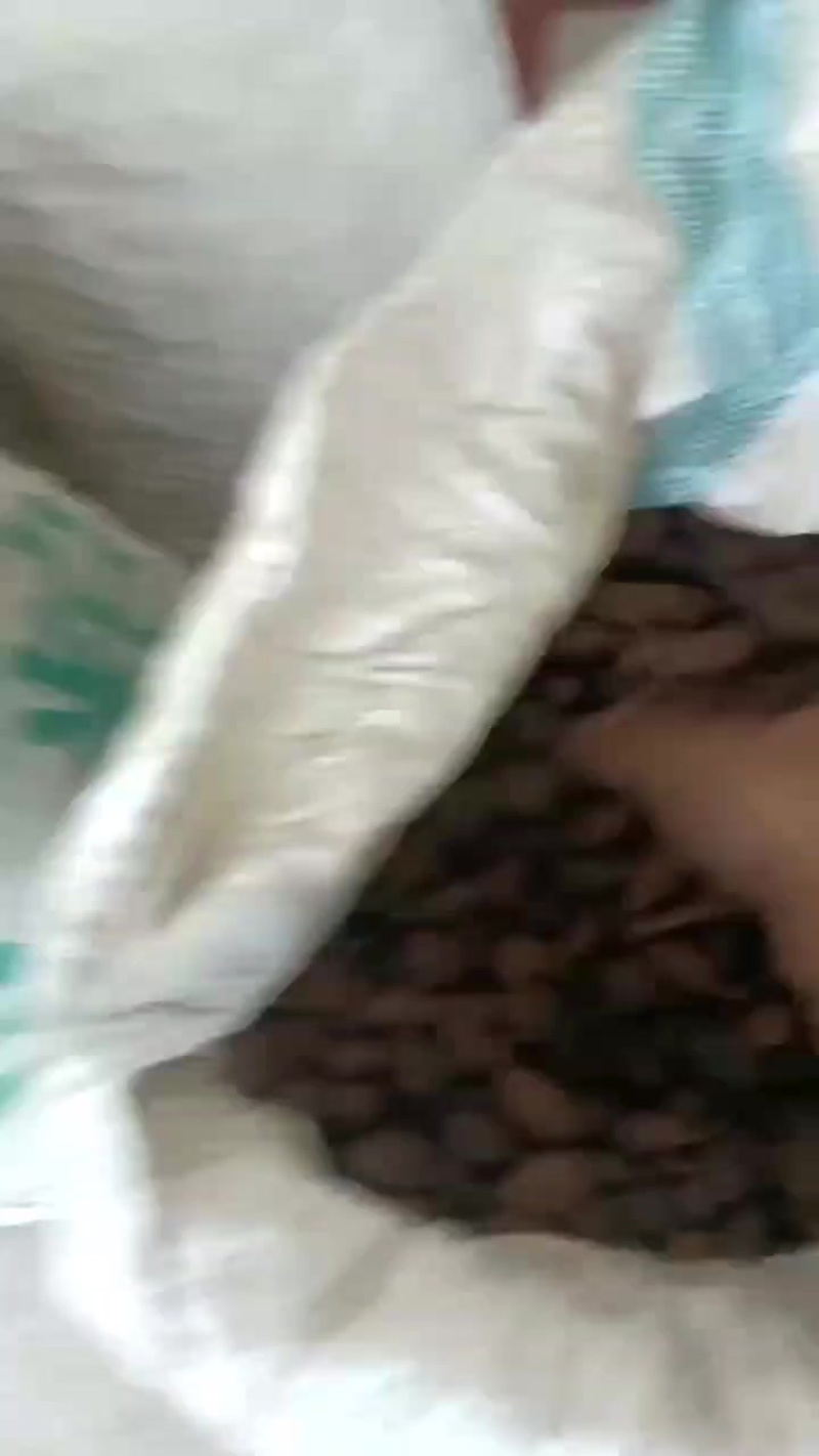 干草果云南红河通货