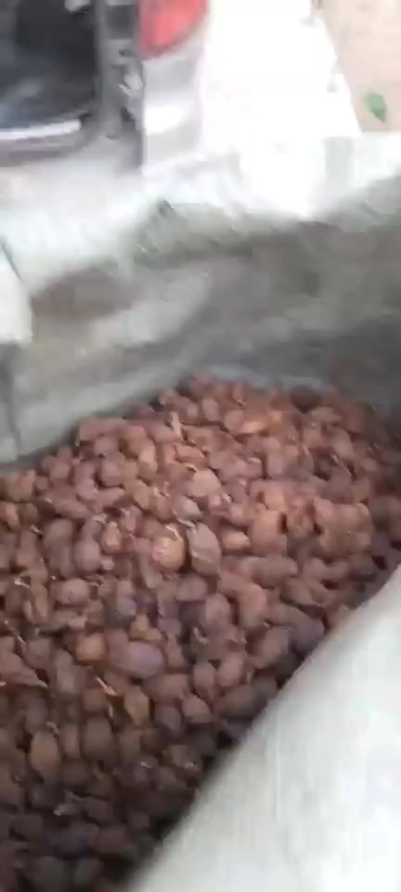 干草果云南红河通货