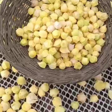 黑龙江绥化姑娘果电商