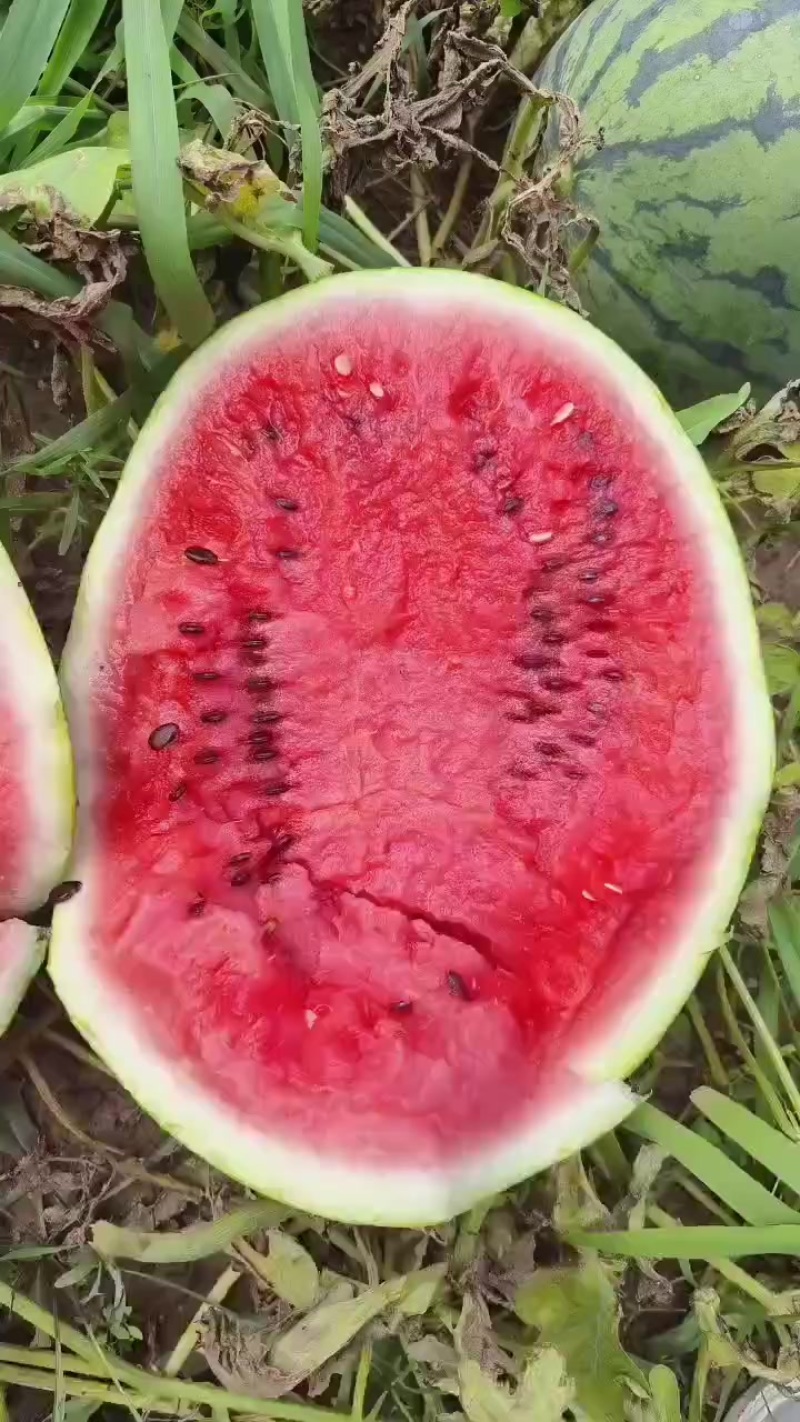 西瓜