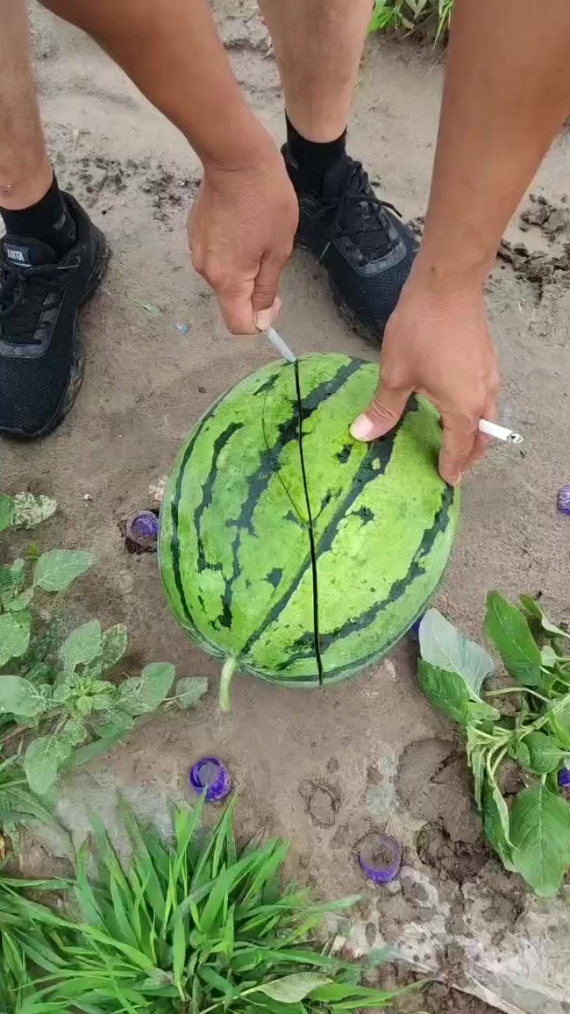西瓜