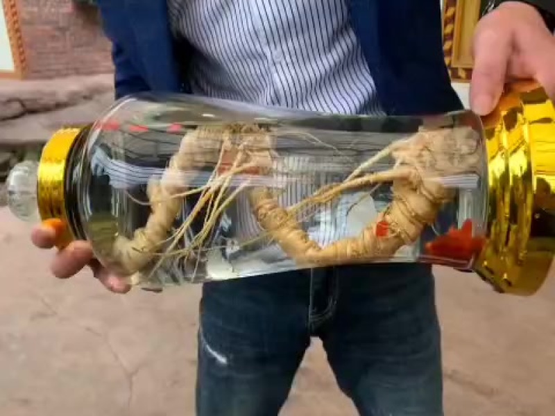 马边县地道三七，新鲜采挖，品质保证
