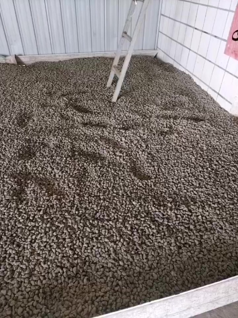 湖北饲料螺喂养蚂蝗螃蟹泥鳅鱼批发，欢迎购买咨询打电话给我