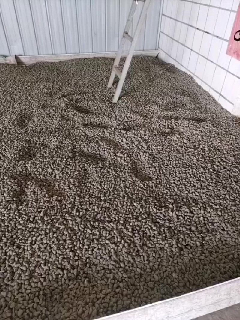 湖北饲料螺喂养蚂蝗螃蟹泥鳅鱼批发，欢迎购买咨询打电话给我