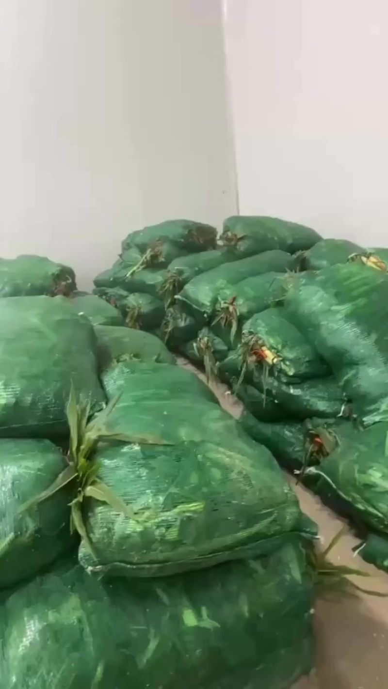 玉米笋，海底捞规格