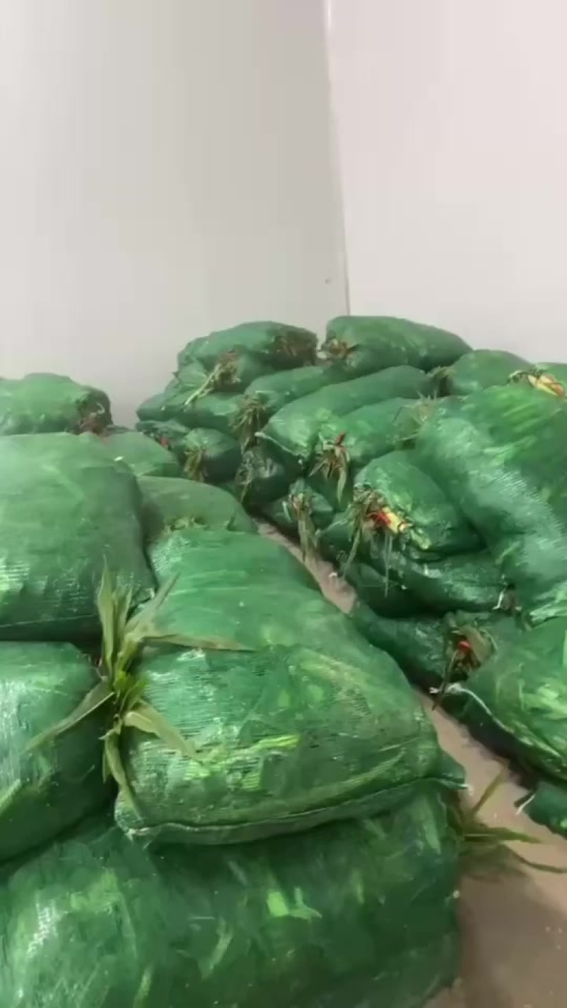玉米笋，海底捞规格