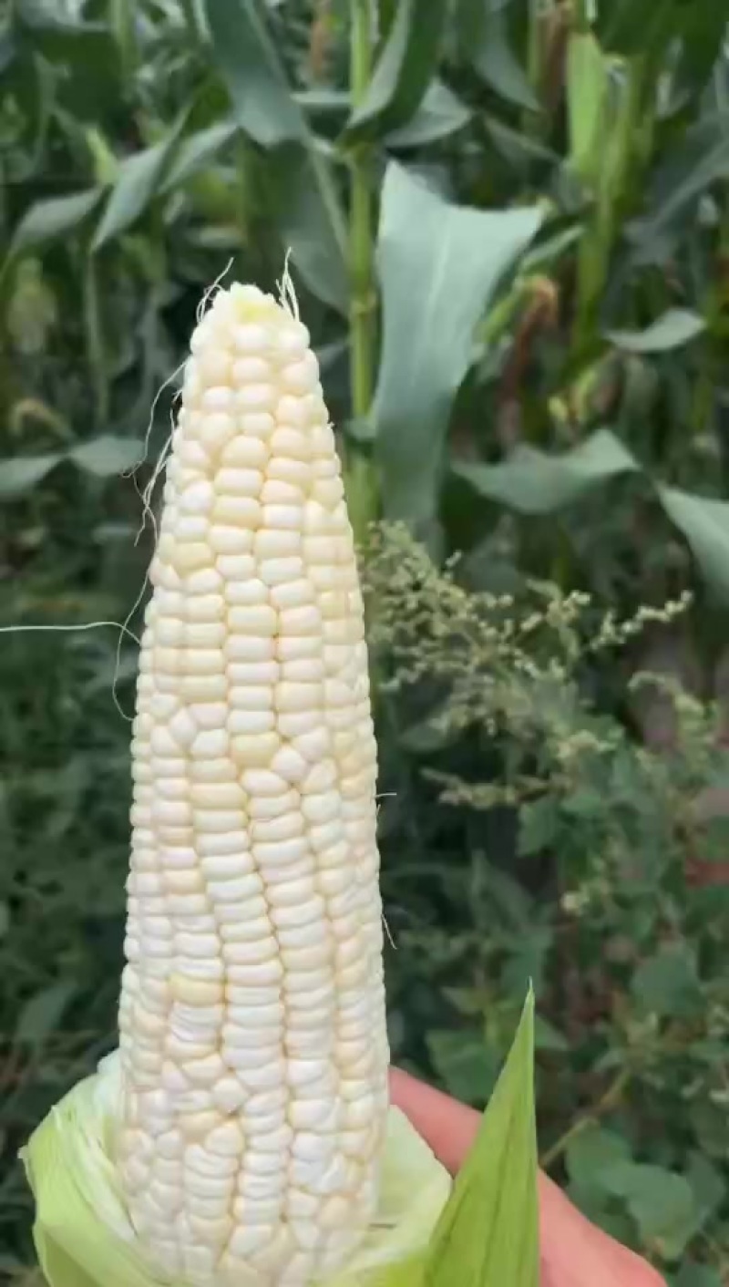 928