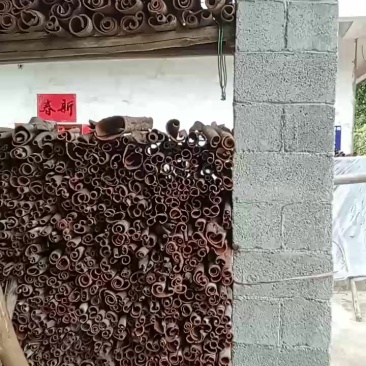 ***桂皮货源充足现货秒发