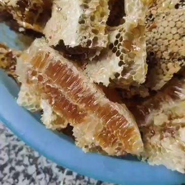 深山农家正宗土蜂蜜