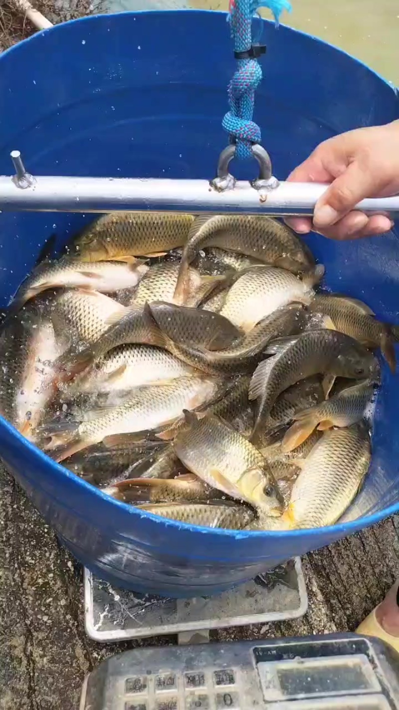 附近包到