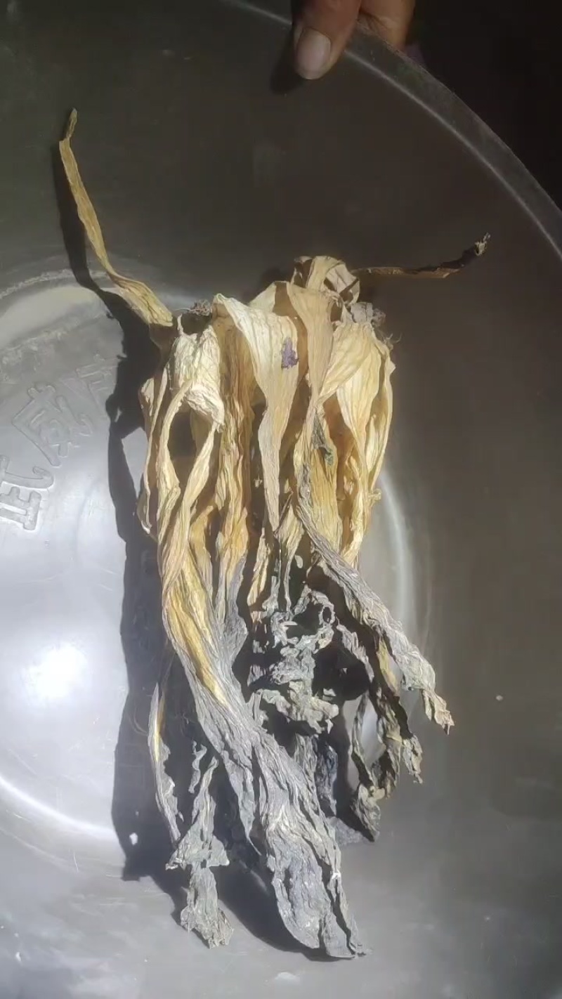脱水白菜干