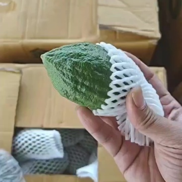 广东香水柠檬一级果，统果套膜，需要的私聊