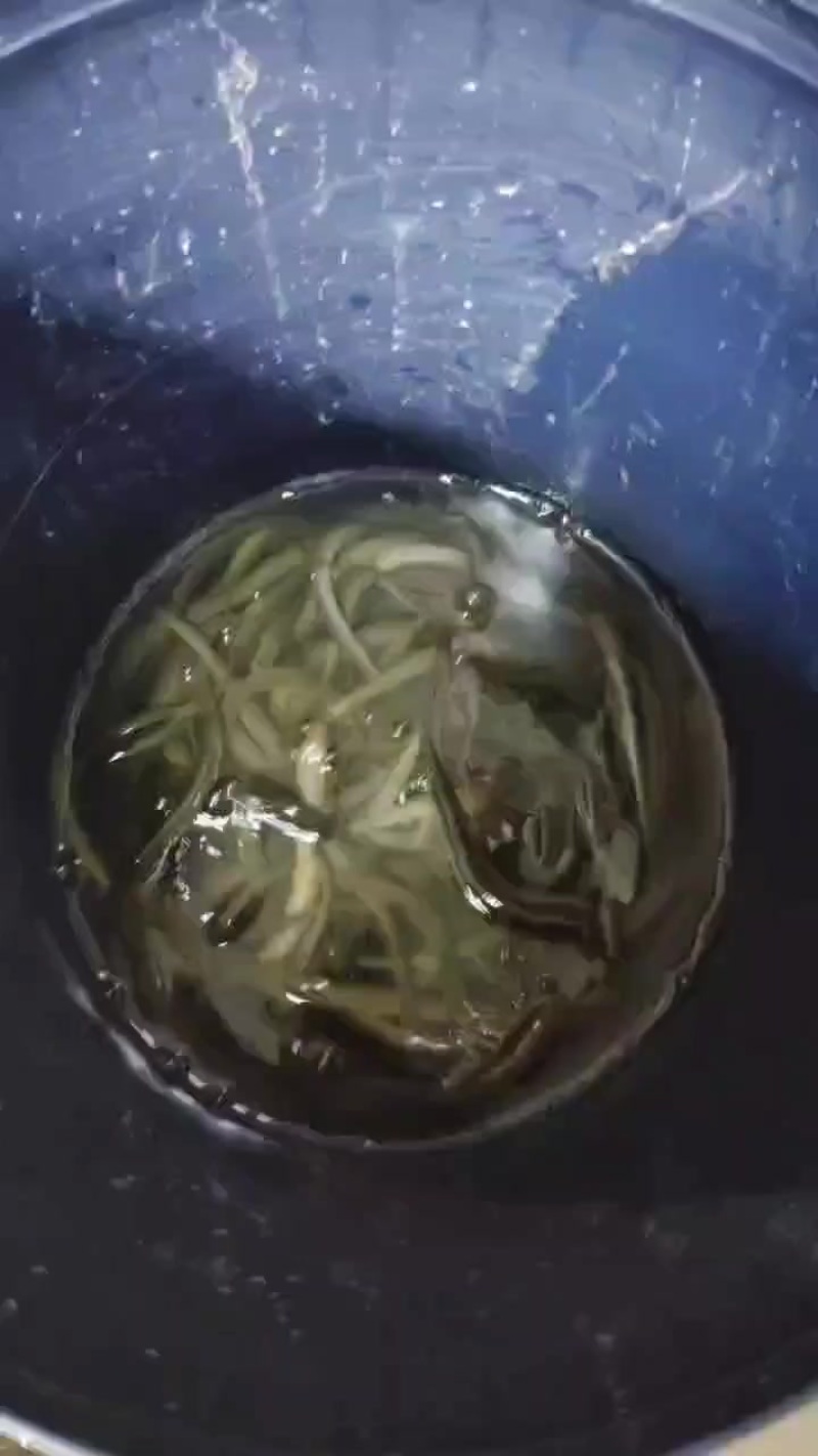 土黄鳝
