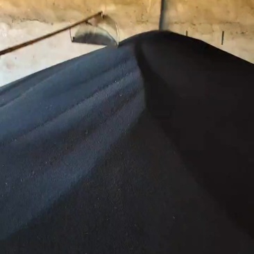 江苏兴化本地非转基因油菜籽