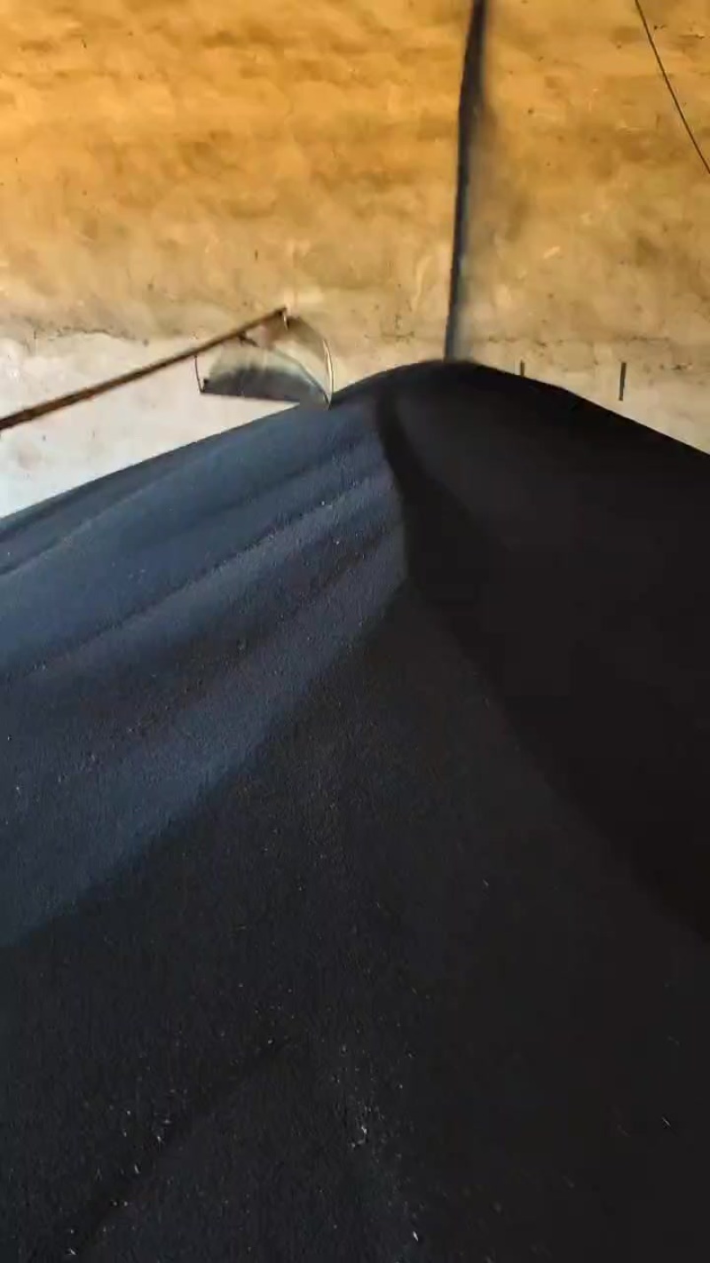 江苏兴化本地非转基因油菜籽
