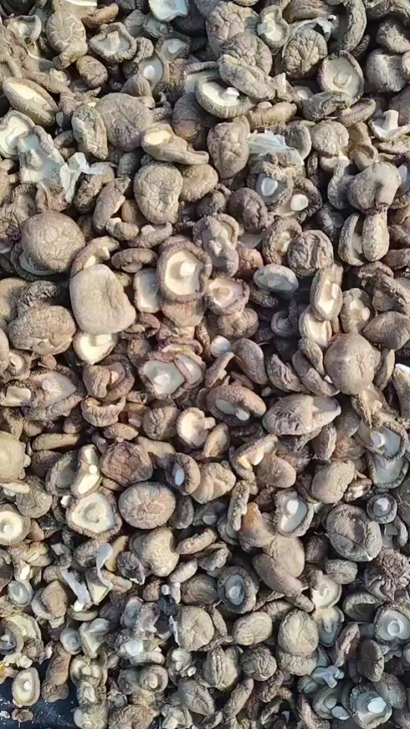 承德平泉香菇干