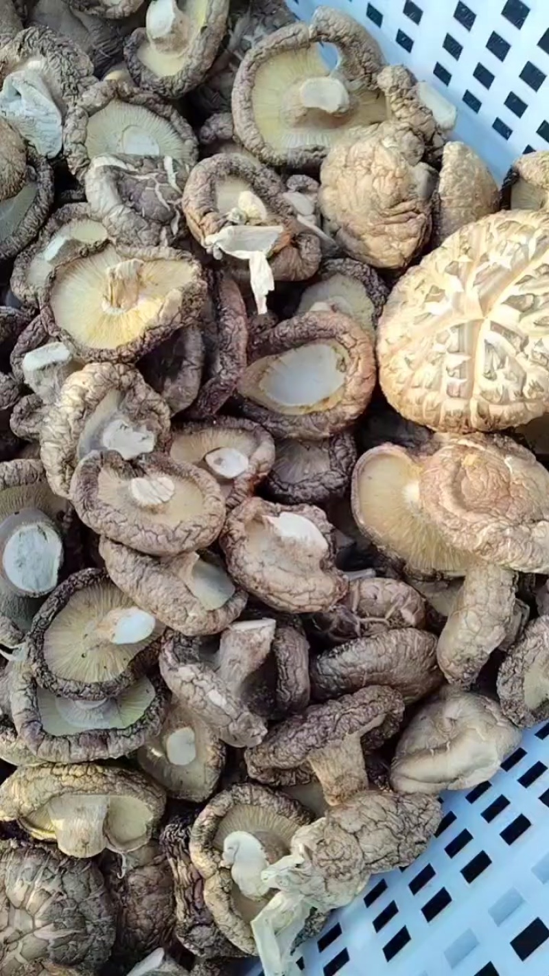 承德平泉香菇干