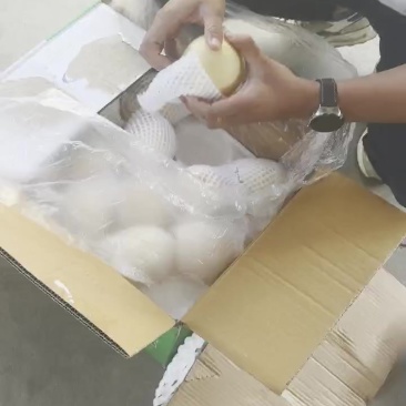 皇冠梨二级果