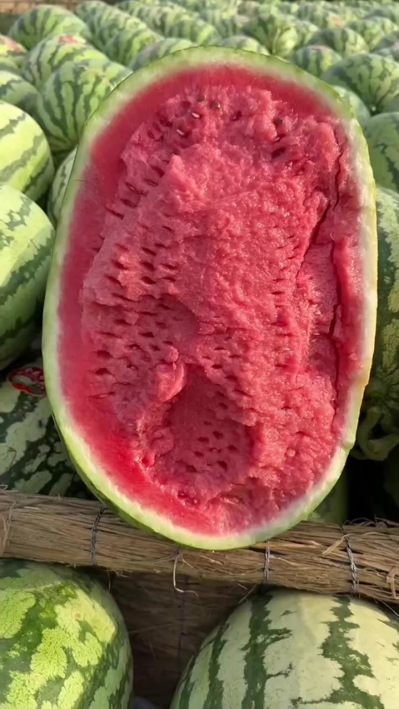 宁夏硒砂瓜石头瓜大量上市专业的团队模式对接各大市场