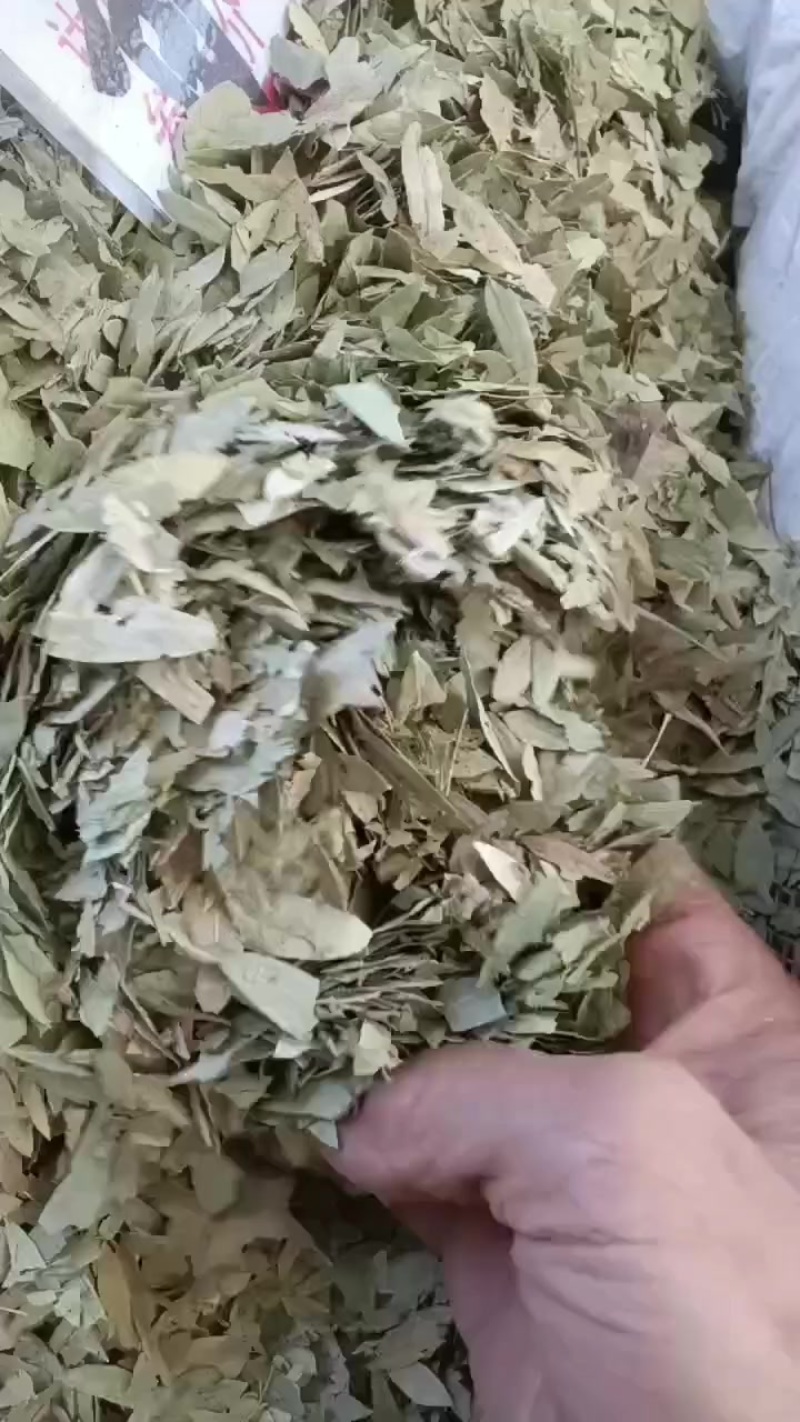 泻叶，便宜出售
