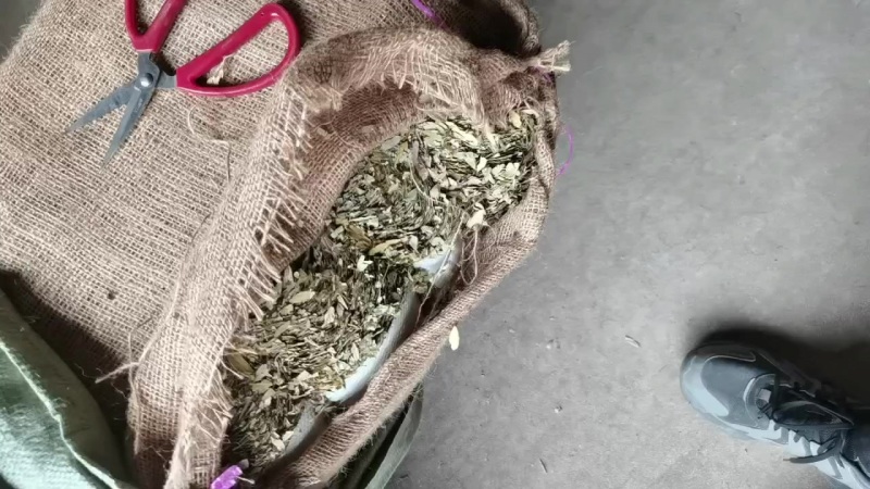 泻叶，便宜出售