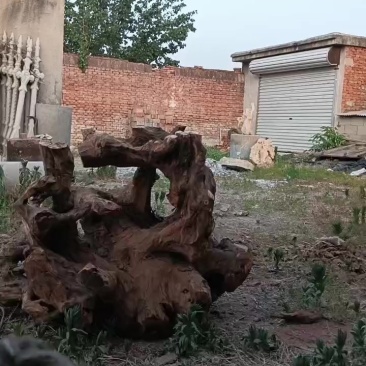 根雕茶桌馆