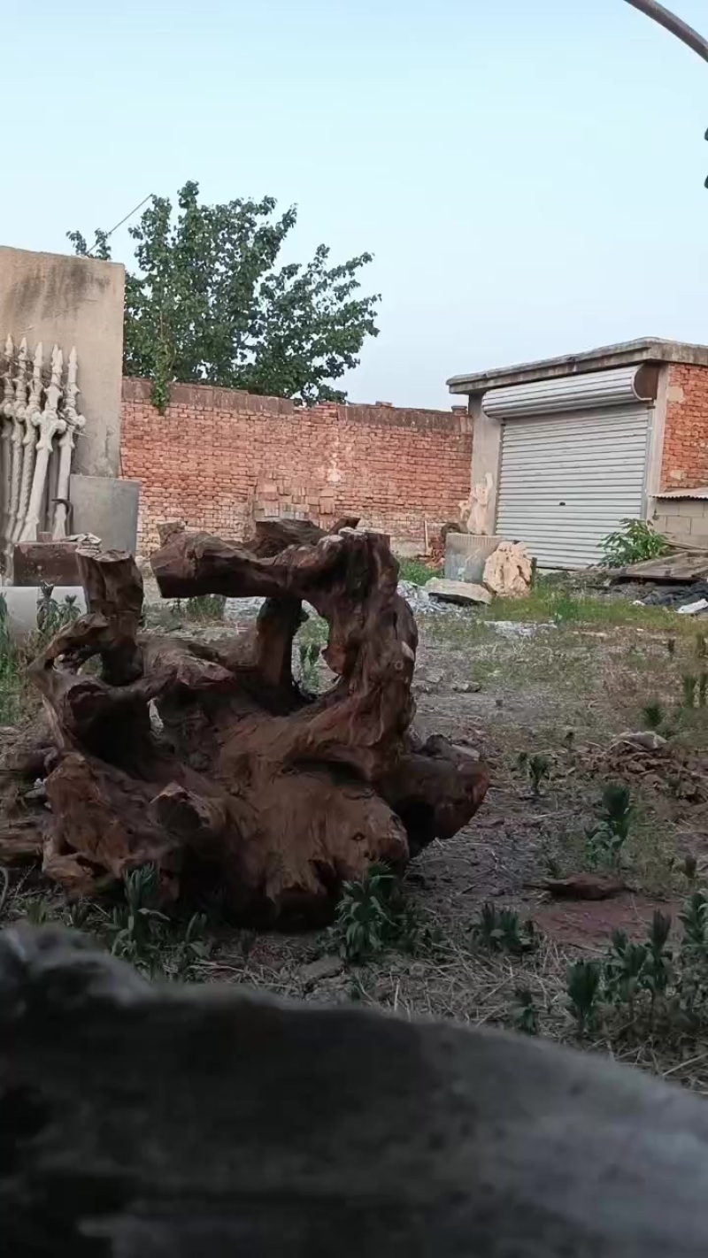 根雕茶桌馆