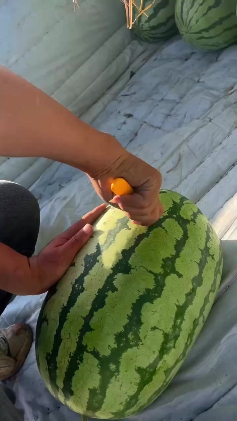西瓜