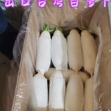 白萝卜