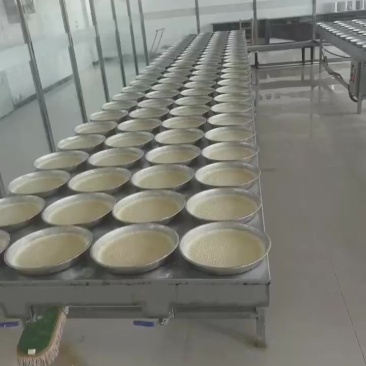 奶皮子