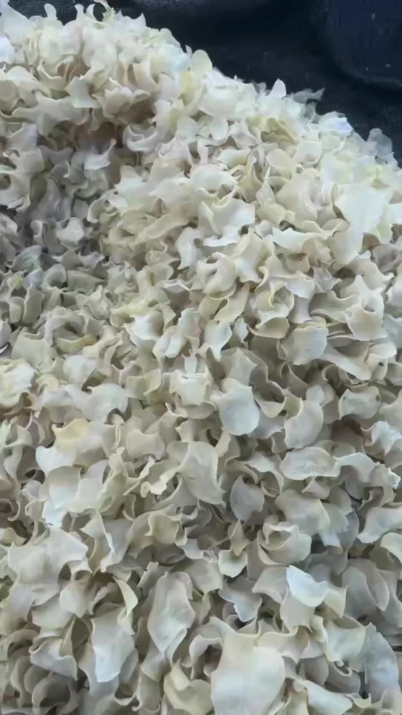 土豆片