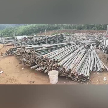 楠竹竹杆