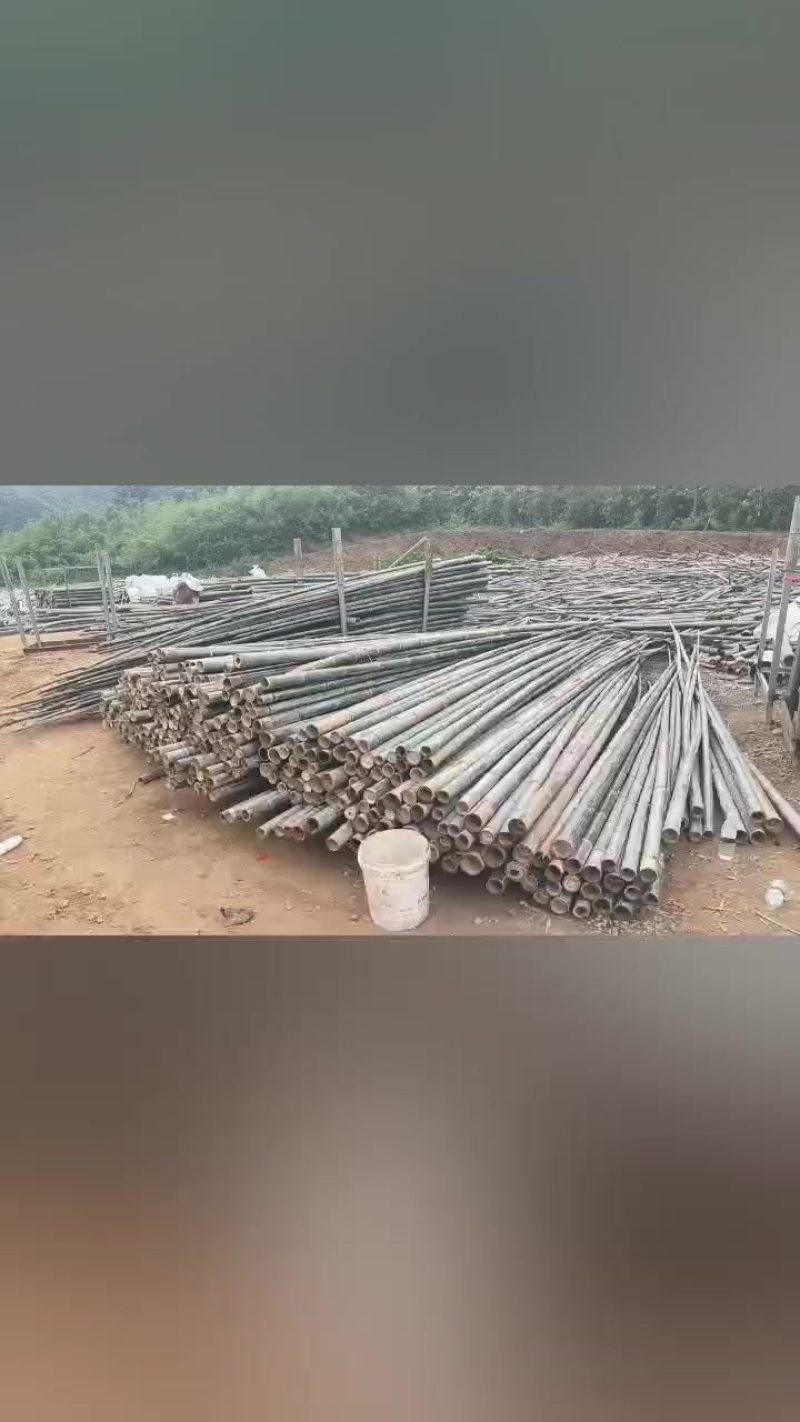 楠竹竹杆