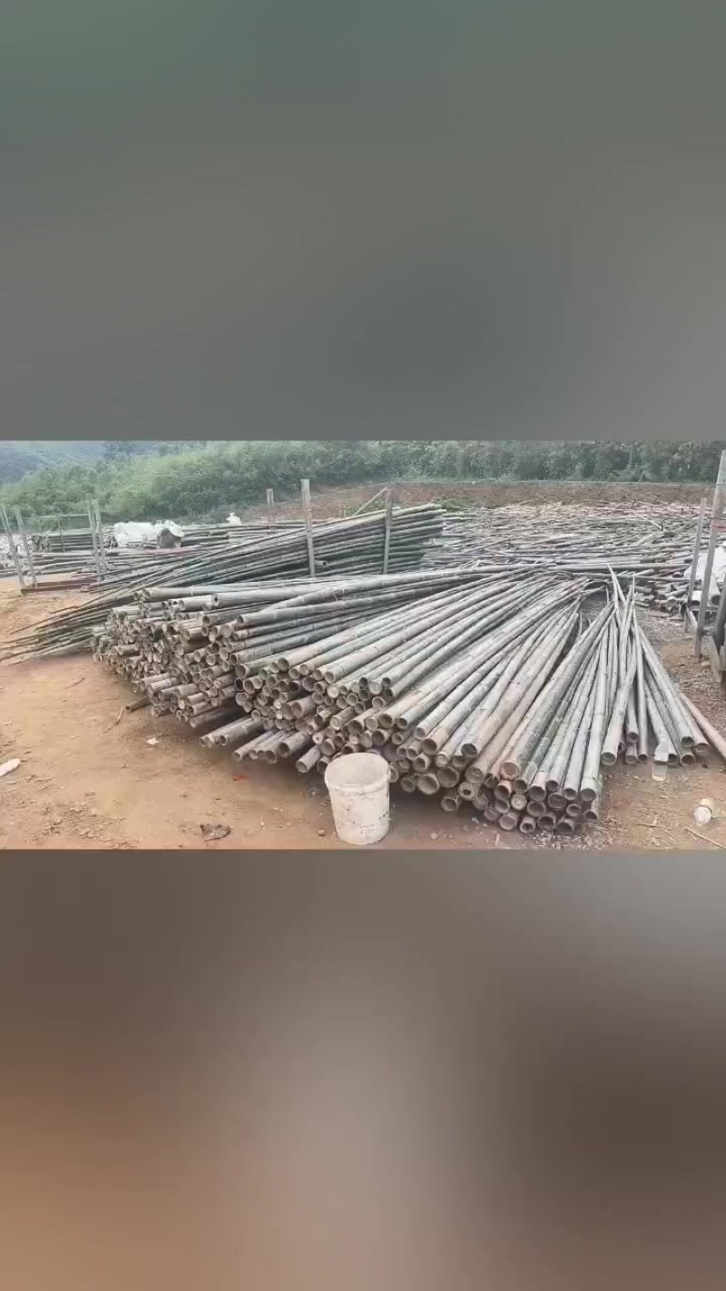 楠竹竹杆