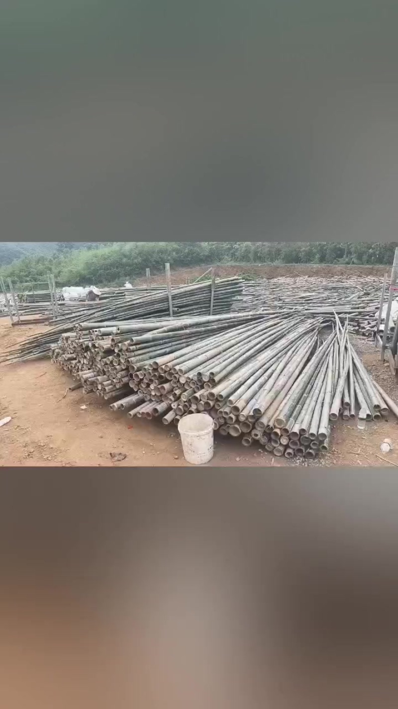 楠竹竹杆
