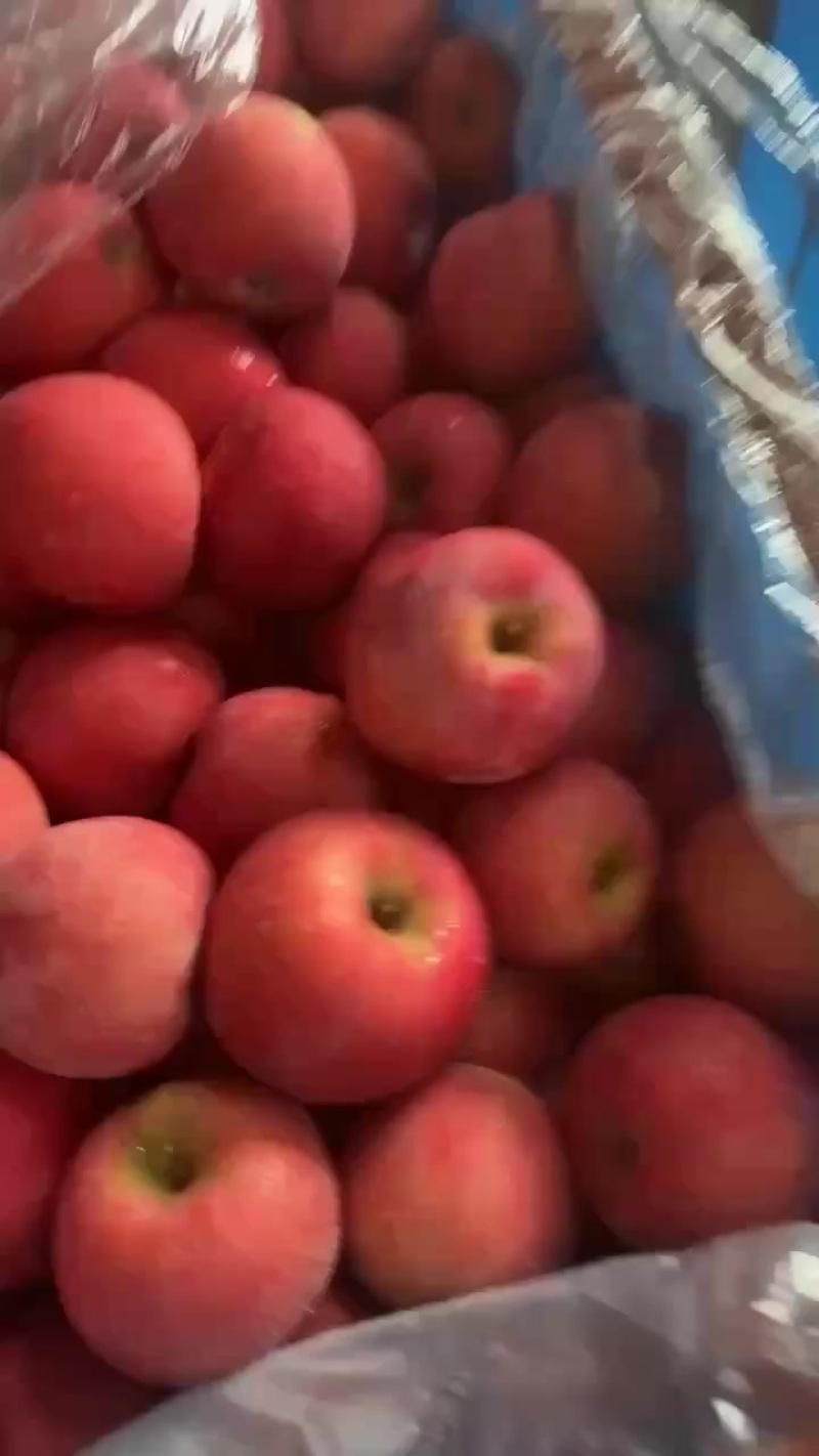 片红富士
