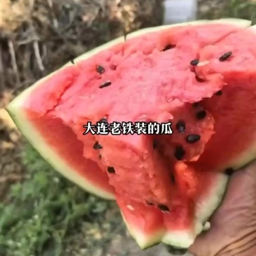 西瓜