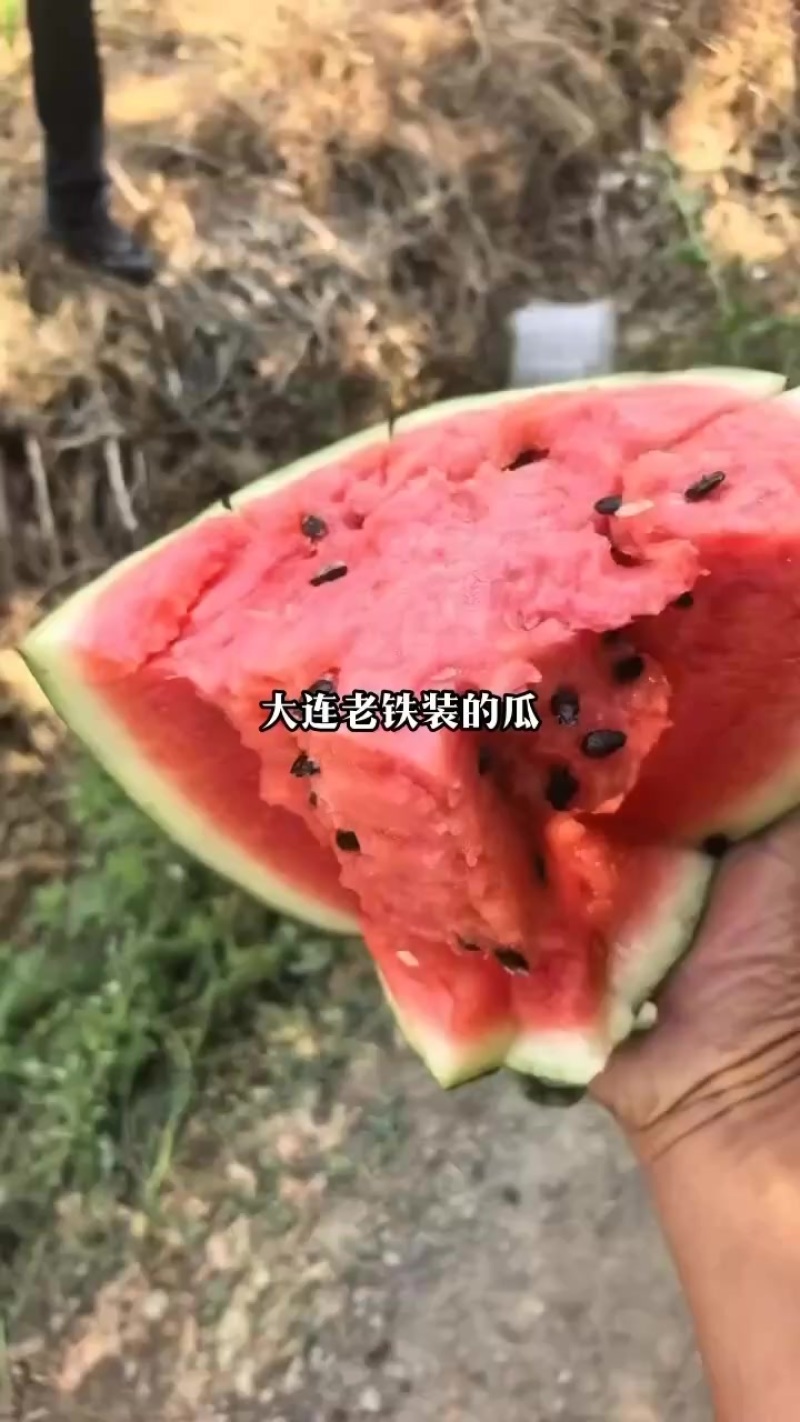 西瓜