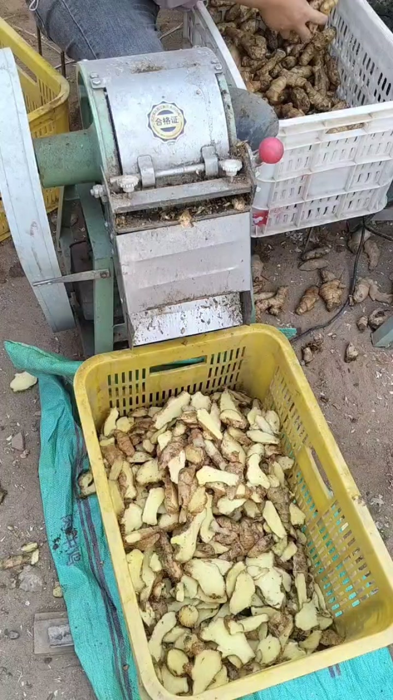 优质生姜片