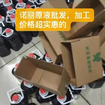 诺丽果原液批发，诺丽果酵素批发，价格超实惠的