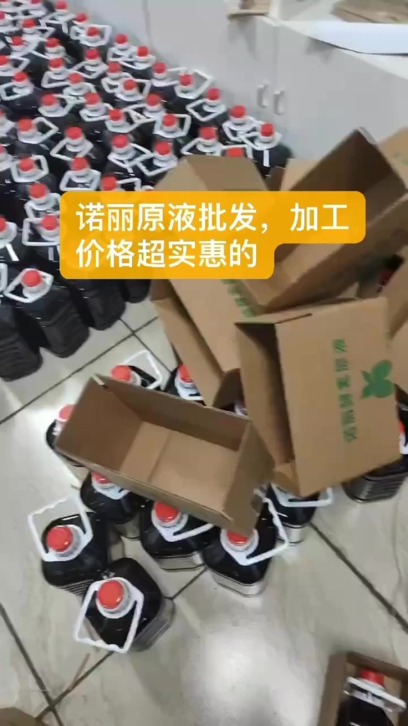 诺丽果原液批发，诺丽果酵素批发，价格超实惠的
