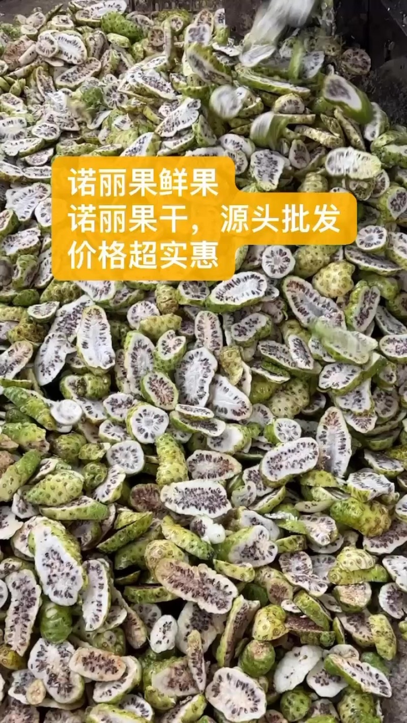 诺丽果干，诺丽果鲜果批发，源头批发，价格很低