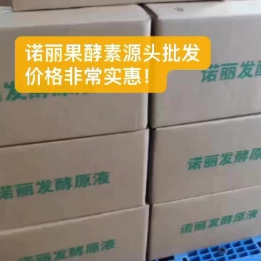 诺丽果酵素源头供应，价格非常实惠