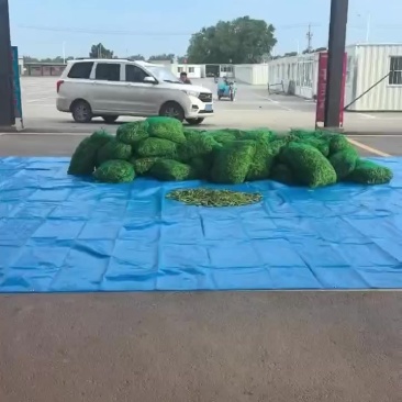 怀德镇精品油豆角